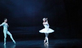 独舞天鹅爆料视频大全下载,揭秘幕后精彩瞬间